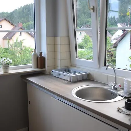 Apartament Pod Starym Modrzewiem *